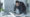 shutterstock_1114392716